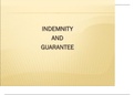 Indemnity and Guarantee