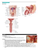 Clinical Medicine GU & Renal Notes-High Yield & Comprehensive