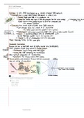 Cellular DNA Structure