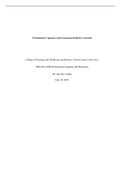 Professional Capstone and Practicum Reflective Journal