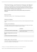 Thermal Energy and Chemical Change Lab Repor