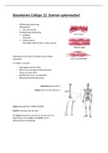 College 22 basiskennis 1b aantekeningen (spierstelsel)