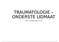 SAMENVATTING in powerpoint-vorm - TRAUMATOLOGIE: fracturen onderste lidmaat