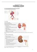 SAMENVATTING - notities: Orgaanfysio (nierfysiologie)