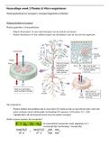 Duidelijke samenvatting van de hoorcolleges week 3 Planten en micro-organismen