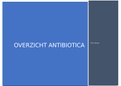 Samenvatting verschillende soorten Antibiotica