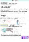 Hst 14 chemie van het leven vwo 6 nova