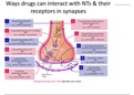 TTU PSY 4325 Module 4 Types of Neurotransmitters Lecture Slides