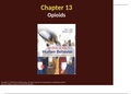 TTU PSY 4325 Chapter 13 Opioids Lecture Slides