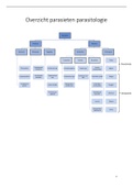 Samenvatting parasieten parasitologie (met afbeeldingen)