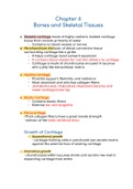 Bone and Skeletal System