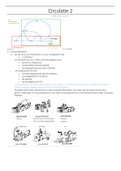 Alle stof  van circulatie II