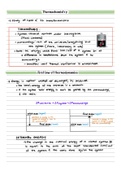 Thermochemistry notes in CEM1000W