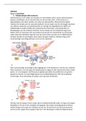 Complete samenvatting casuisitiek van blok 2.1 Circulatie en Ademhaling