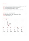 Grade 12 IEB Physical Science (Physics) Kinematics (Section A)  summary & notes 