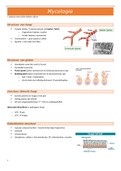 Deel Mycologie (microbiologie P. Cos 3e Ba DGK UA)