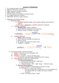 Biology Chapter 7 - Metabolism