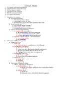 Biology Chapter 11 - Meiosis