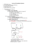 Biology Chapter 12 - Mendelian Genetics