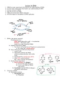 Biology Chapter 14 - DNA