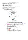 Biology Chapter 15 - Gene Expression