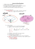 Biology Chapter 16 - Gene Regulation