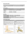 Samenvatting klinisch onderzoek 2de jaar - enkel