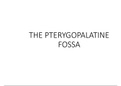 APPENDICULAR SKELETON.pdf APPENDICULAR SKELETON (1).pdf SKULL.pdf PTERYGOPALATINE FOSSA.pdf INTRODUCTION TO ANATOMY.pdf INFRATEMPORAL FOSSA.pdf Facial Skeleton.pdf Facial Skeleton (1).pdf CRANIUM.pdf Cranium and axial skeleton.pdf Cranium and axial skelet