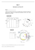 Quiz 2 Biochemistry Lab Chem 378|100% correct