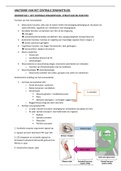 Samenvatting anatomie vh CZS