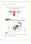 NU606_W11_Genitourinary_and_Reproductive_Guided_Notes_ and |_marking scheme