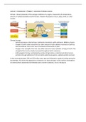 Complete samenvatting eindtentamen Quaternary Climate and Global Change