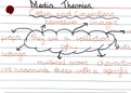 GCSE OCR Media Studies Theories Summary