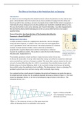 IB Physics IA - 7 - The Effect of the Mass of the Pendulum Bob on Damping. (22/24)