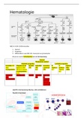 HEMATOLGIE 2 uitgebreidde samenvatting