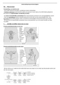 Samenvatting natuurwetenschappen H2 6e jaar