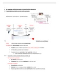 Samenvatting psychodiagnostiek H4 meetbaar maken tests