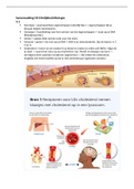 Biologie Nectar samenvatting Hoofdstuk 5 erfelijkheid VWO4