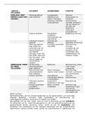 Samenvatting Junqueira's functionele histologie, ISBN: 9789036820240  B04BLP (B04BLT)