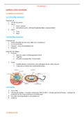 volledige samenvatting microbiologie (geslaagd in 1e zit!)