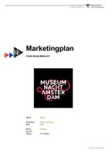 Compleet Marketingplan Stone: Marketing in de stad - cijfer 7,4