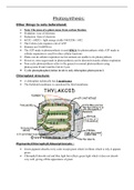 Summary  AP Biology Photosynthesis 