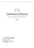 leerdoelen opstellen 