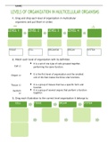 Level of organization in multicellular organisms