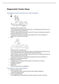 Samenvatting Diagnostiek periode 6, diagnostische testen