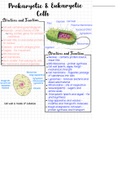 Btec applied science unit 1 and 5 notes