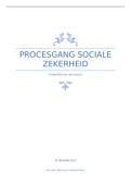 Case uitwerking procesgang sociale zekerheid 