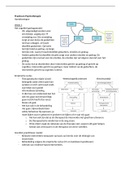 Aantekeningen practicum psychotherapie