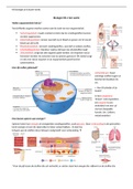 biologie samenvatting vwo 3 nectar hoofdstuk 8 je lichaam werkt