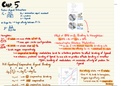 Cumulative Chapter 5-7 Review